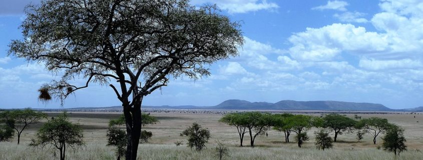 tanzanie